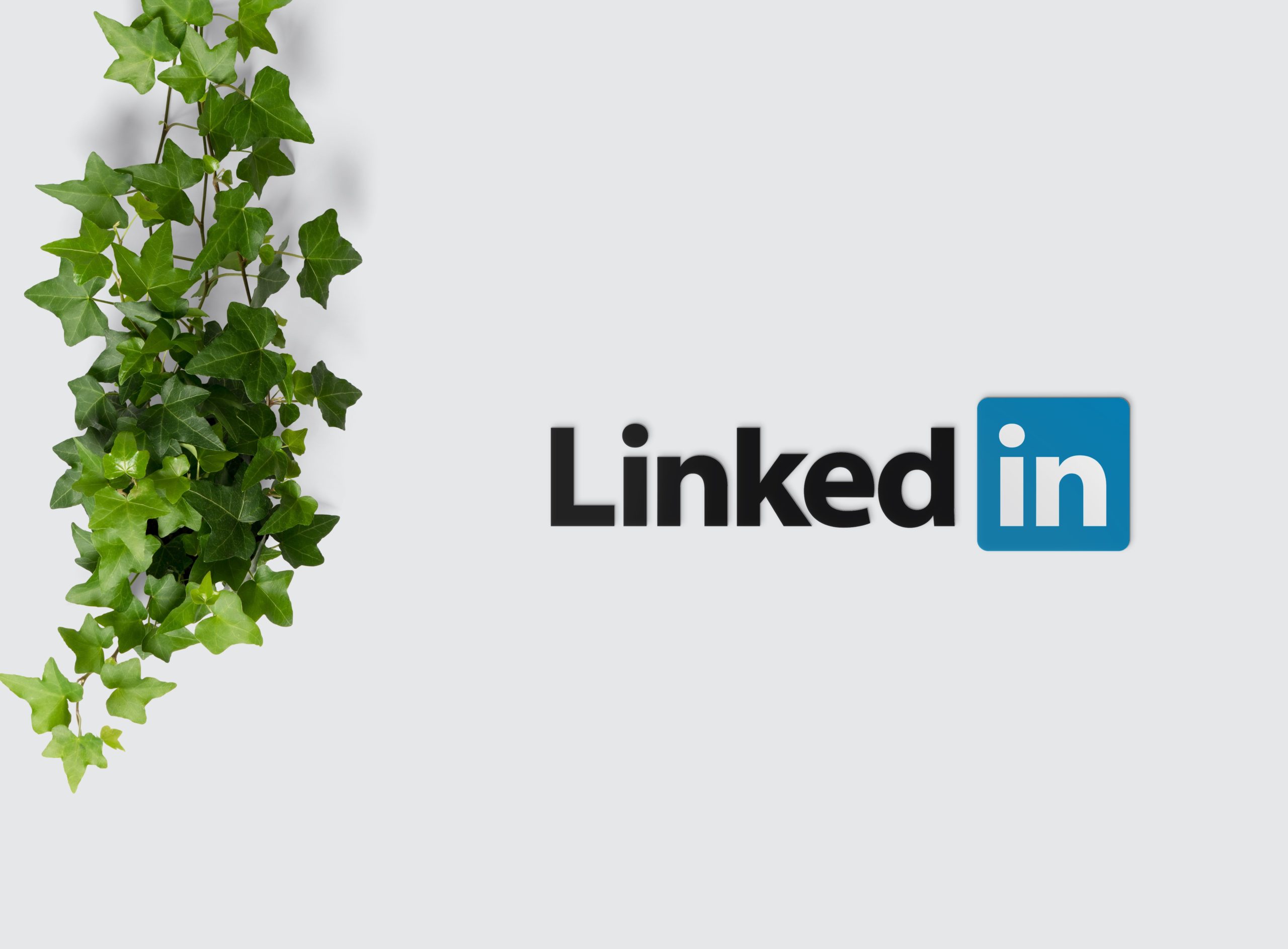 You are currently viewing Linkedin : Optimiser son profil, sa page entreprise et prospecter